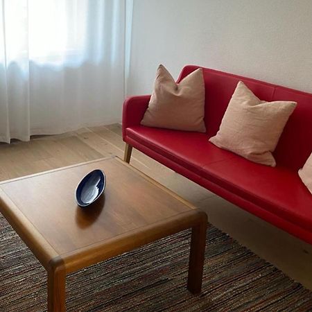 H2 With 3,5 Rooms, 2Br, Living Room And Kitchen, Central And Quite Zürich Kültér fotó